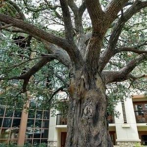 Meet your Posher, Daryl